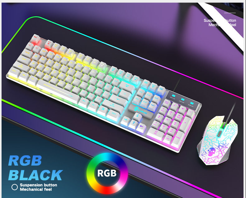 Kit Gaming RGB T6
